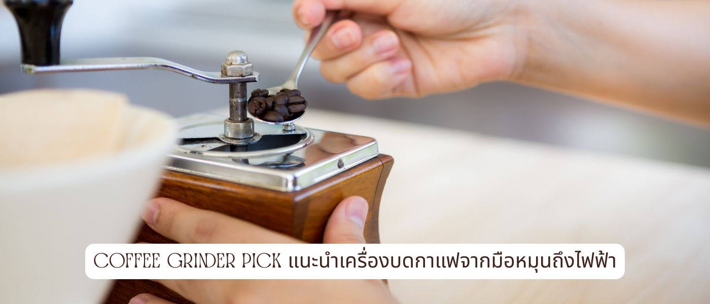 Coffee Grinder Pick แนะนำเครื่องบดกาแฟจากมือหมุนถึงไฟฟ้า